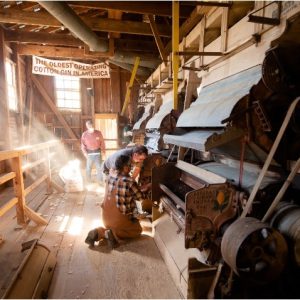 Visitors will experience the cotton ginning process inside the oldest operating cotton gin in America during the annual Harvest Festival. The Mississippi Agriculture and Forestry Museum will host the 2024 Harvest Fest November 5-9, from 9:00 a.m. to 2:00 p.m.