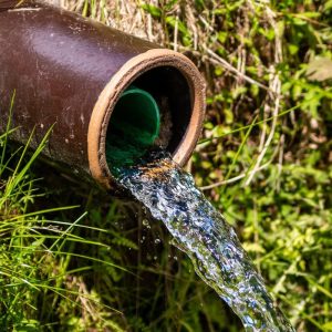 How a Plumbing Company Can Help with Sewer Line Repairs and Replacements?