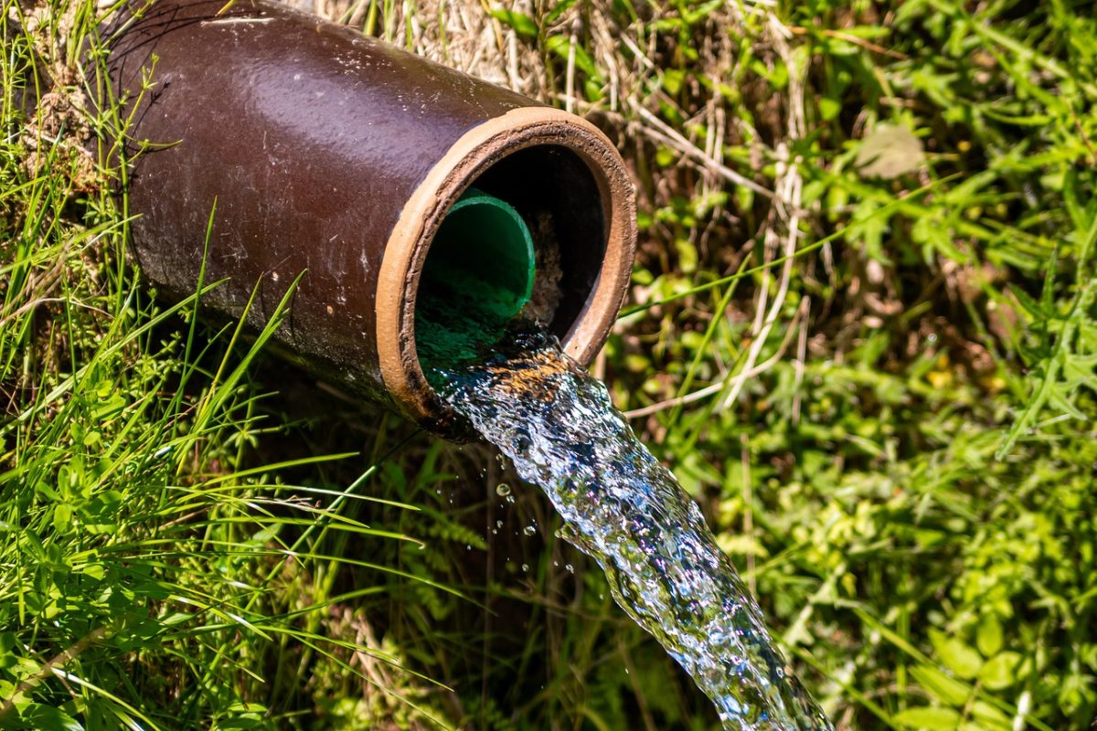 How a Plumbing Company Can Help with Sewer Line Repairs and Replacements?