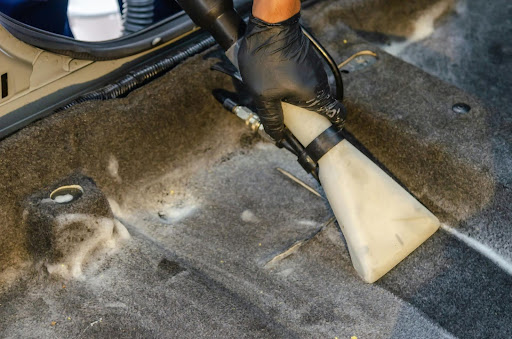 Discover the Secret to Cleaner, Healthier Carpets