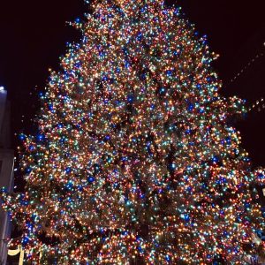 The Rockefeller Center Christmas Tree is an iconic American symbol that signals Christmas is on the horizon. The photo that I shot a few years ago was one of the last times visitors were allowed to get this close to the famous tree filled with lights and a star made of 3 million Swarovski crystals.