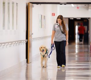 Child life manager Cara Williams walks through Children's of Mississippi's Kathy and Joe Sanderson Tower with Hollywood, the children's hospital's facility dog.
