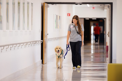 Child life manager Cara Williams walks through Children's of Mississippi's Kathy and Joe Sanderson Tower with Hollywood, the children's hospital's facility dog.