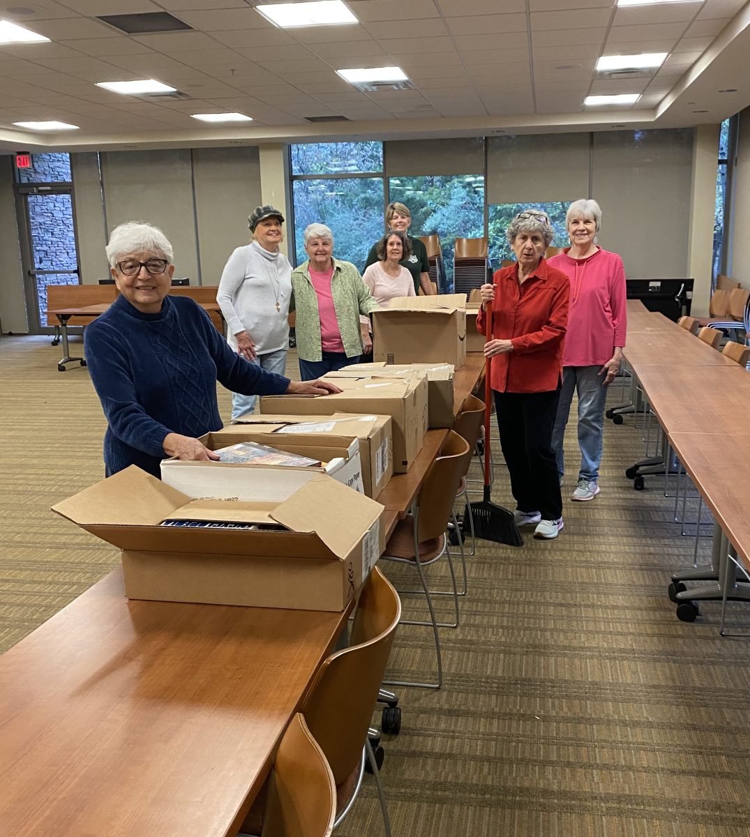 Library Plans February Book Sale