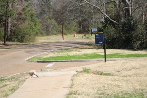 College Street sidewalk project planned