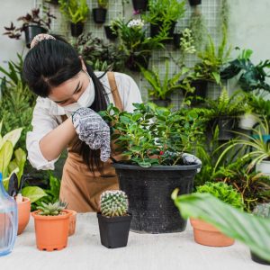 The Rise of Urban Gardening in Clinton: How Residents Are Embracing Homegrown Produce