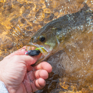 Best Fishing Spots in the U.S. for the Ultimate Catch