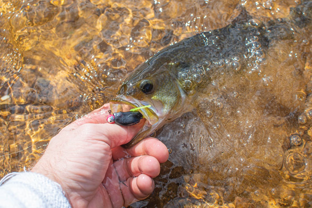 Best Fishing Spots in the U.S. for the Ultimate Catch