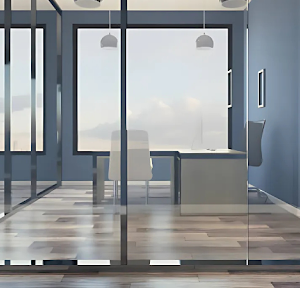 Glass Office Doors