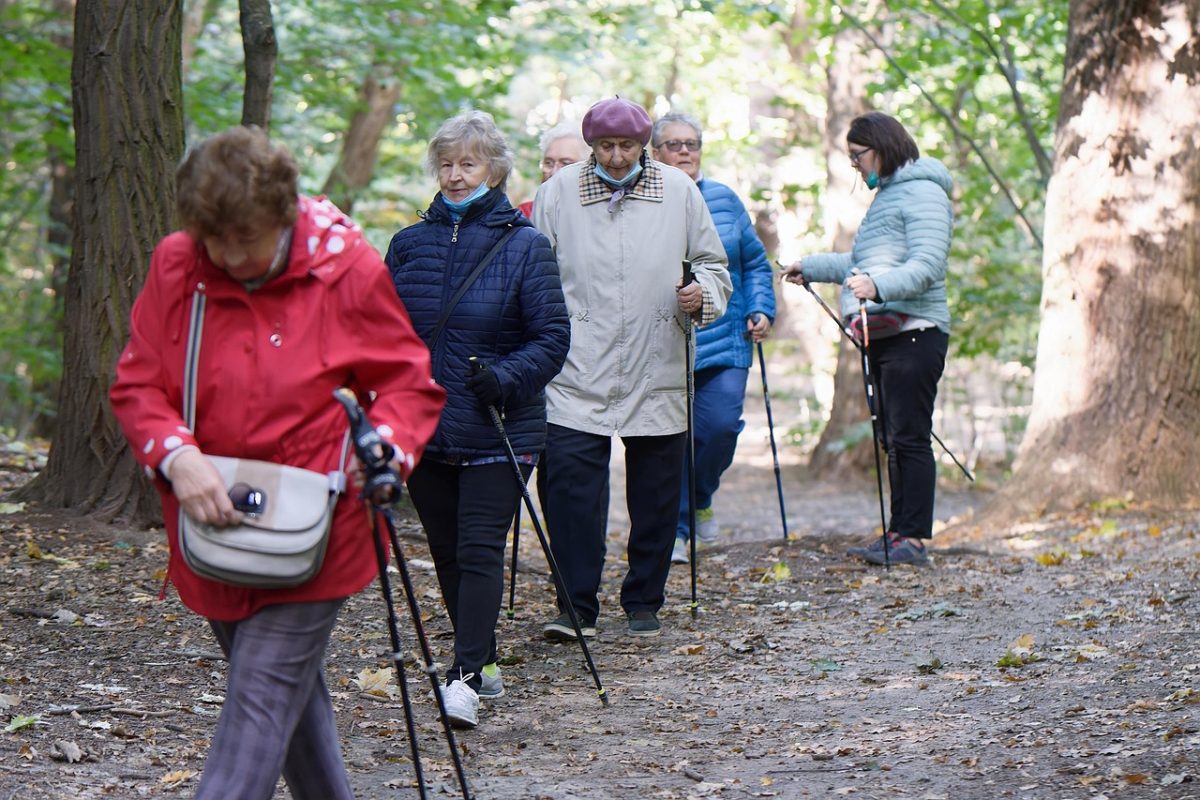Creating a Community: Senior Groups and Meetups in Clinton