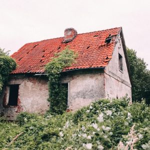 What Roof Damage Means for Your Home's Safety and Value