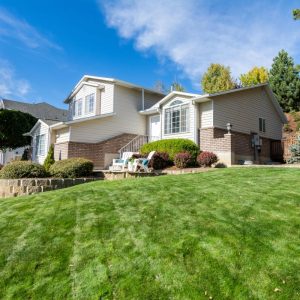 Lawn