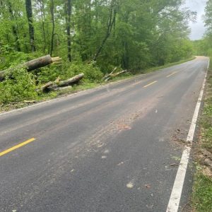 A fallen tree is shown after being cut away from the lanes of traffic on the Natchez Trace just south of I-20 on April 6. The tree fell on a truck, trapping and injuring the driver.