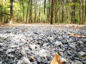 Nature Center rolls out new website highlighting multitude of events