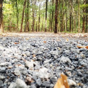 Nature Center rolls out new website highlighting multitude of events