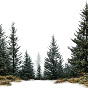 April recognized as Native Plant Month