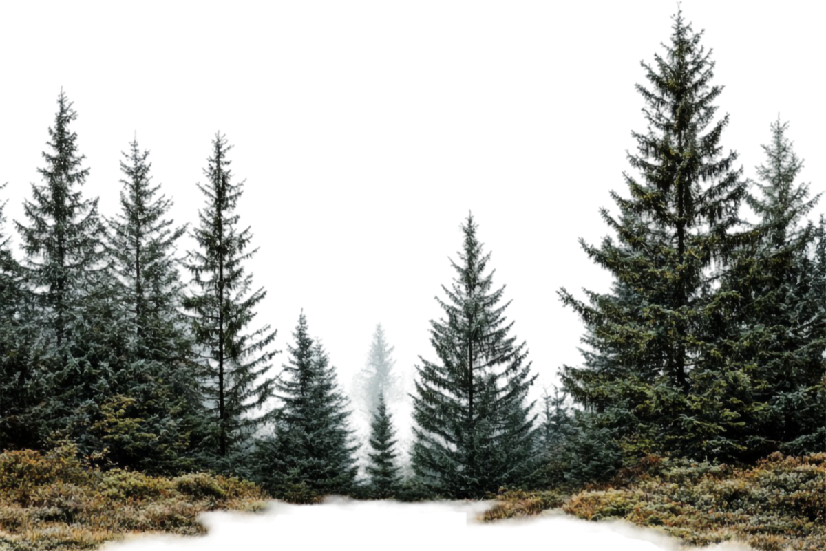 April recognized as Native Plant Month