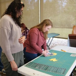 Quilters show up in droves for newly-formed Clinton Quilters group