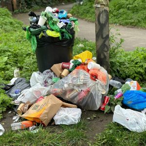 piles of trash near walking path