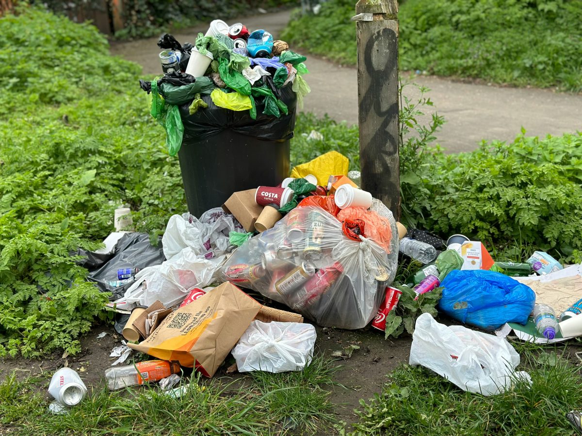 piles of trash near walking path