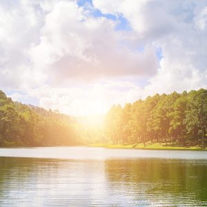 Clinton gets conservation grant, five projects planned