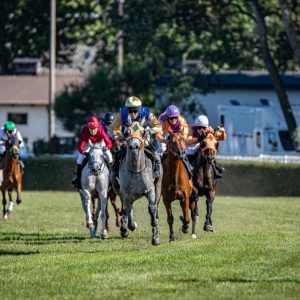 Preakness Stakes 2025: Everything You Need to Know