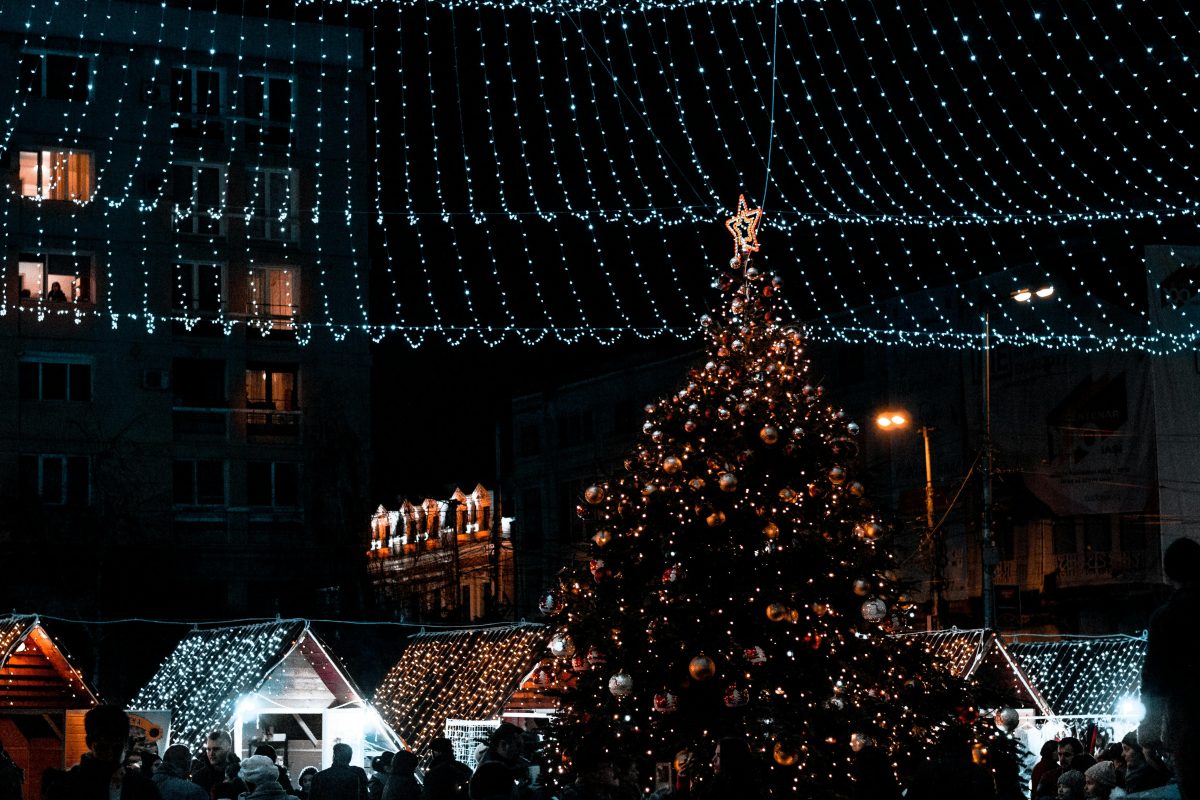 Bulk Christmas Lights: Finding Types and Designs
