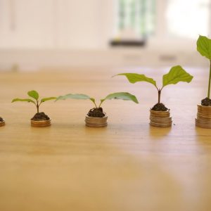 6 Tactics to Streamline Costs and Maximize Shuttle Returns