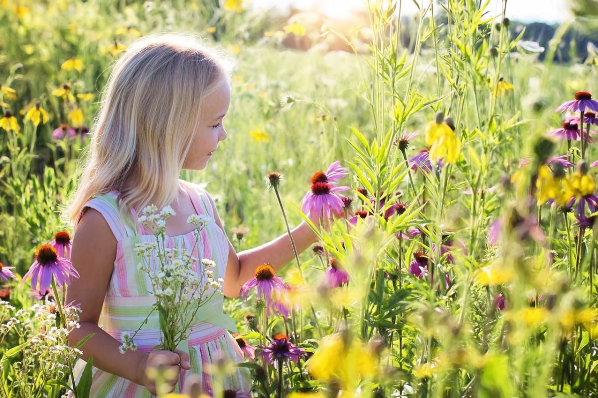 The Role of Summer Camps in Building Independence and Confidence in Kids