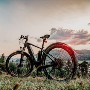 Discover the Best Electric Bike Stores: Your Ultimate Guide to Buying an Avant Bike and More