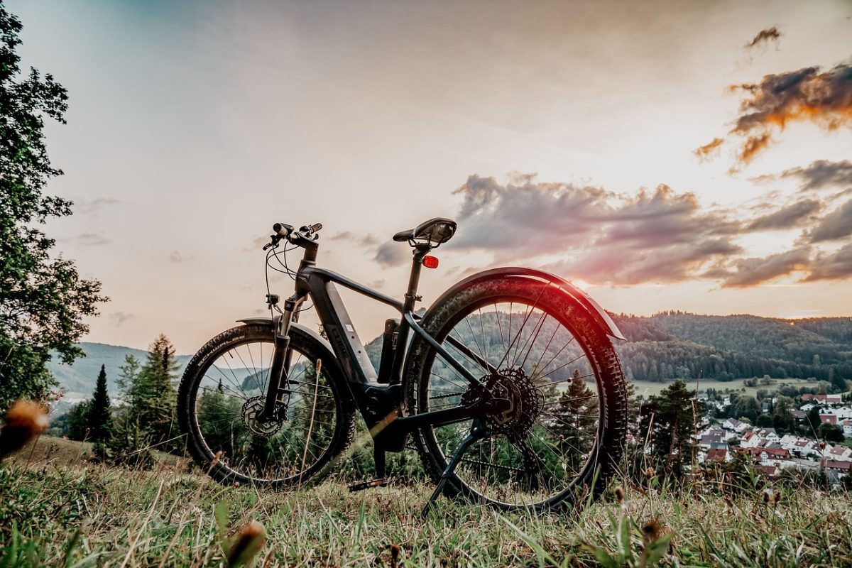 Discover the Best Electric Bike Stores: Your Ultimate Guide to Buying an Avant Bike and More