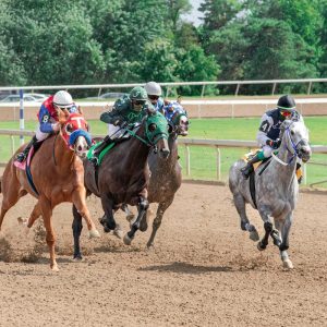The Triple Crown Journey: How the Preakness Stakes Impacts the Series