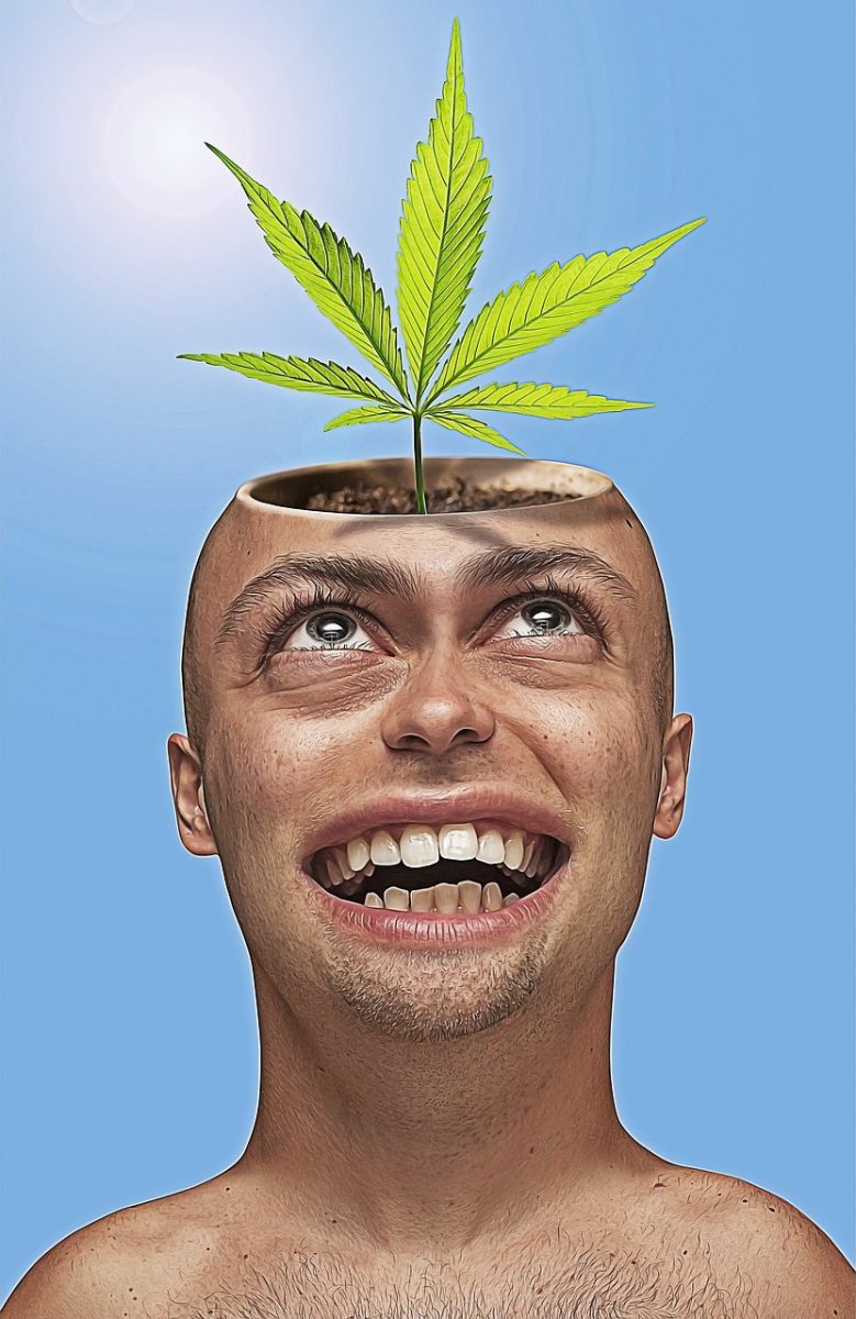caricature of man with marijuana growing out of head