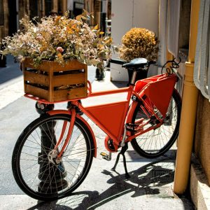 The Practical Power of a Bike with Rear Rack and High Capacity