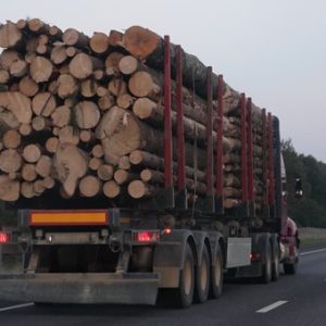 Who Can Be Sued if an Overloaded Truck Caused an Accident?