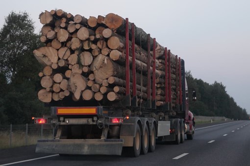 Who Can Be Sued if an Overloaded Truck Caused an Accident?