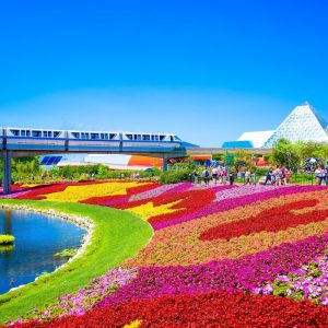 How to Beat the Crowds in Orlando (And Still See Everything!)