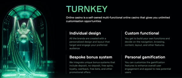Soft2Bet Turnkey casino solution with custom design, bonus systems, gamification, and full functionality control.