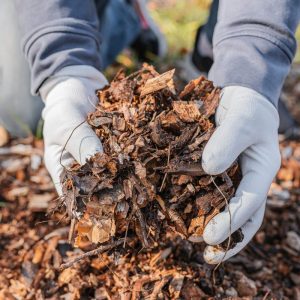 person with mulch in hand