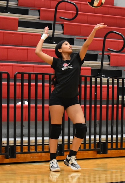 New Arrow volleyball coach Natalie Duvall excited about upcoming season