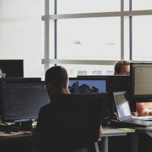 people sitting at computer desks