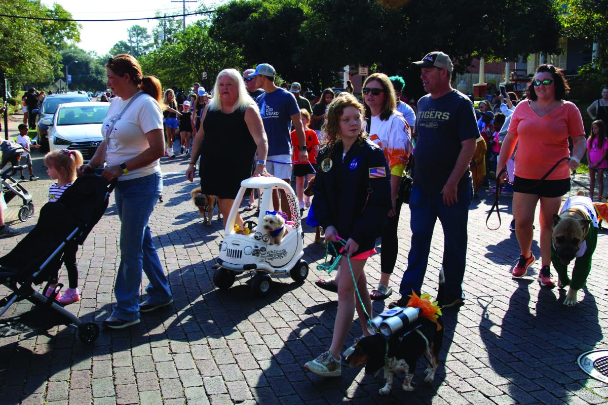 Pet owners walk their dogs, some in costumes, down a brick street during a previous Pet Parade, with a small dog riding in a toy car at center