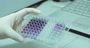 someone holding a tray with purple liquid