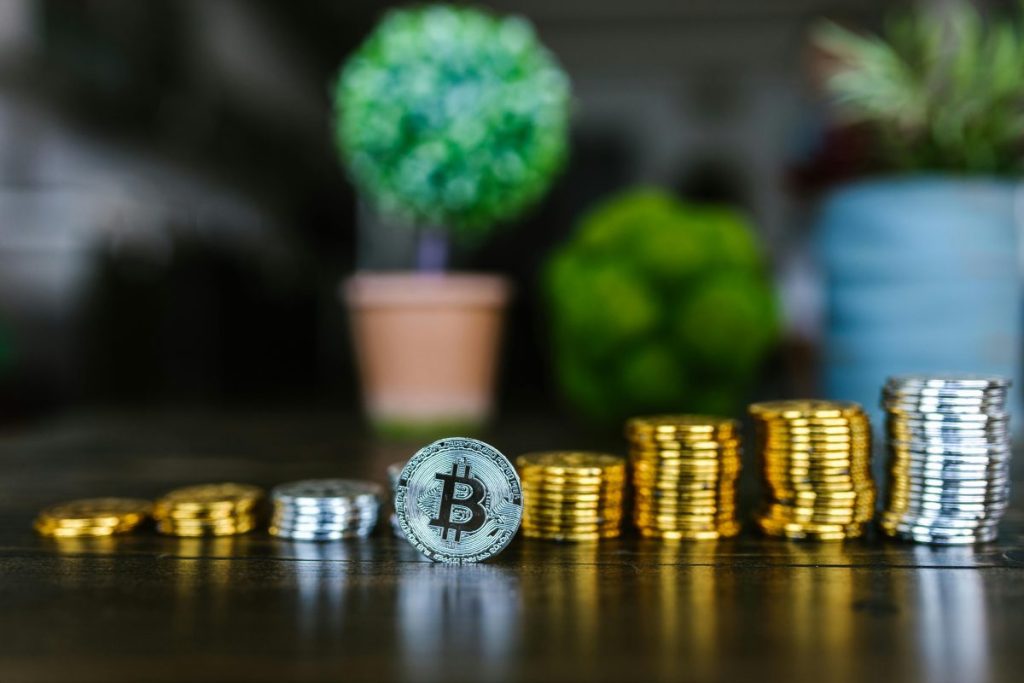 coins lined up on a table with little plants in the background