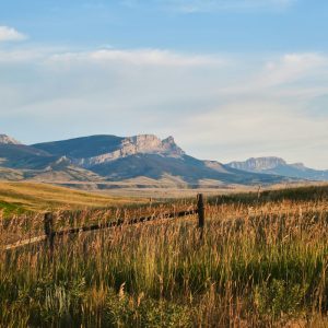 mountain view in montana