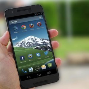 person holding a phone