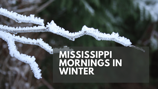 Mississippi Mornings Can Be Cold: How to Stay Warm and Safe When Temperatures Dip