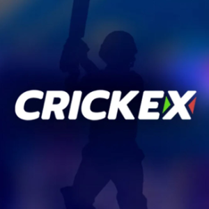 A silhouette of a person holding a bat behind crickex