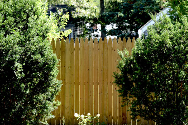 wooden pickett fence surrounded by bushes