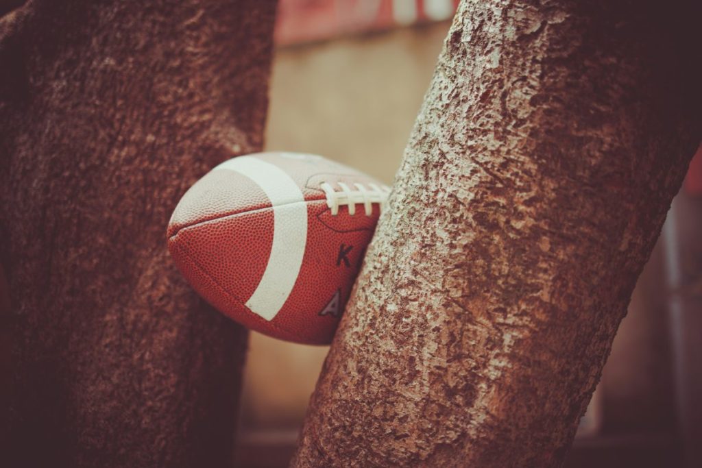 football stuck between two tree branches